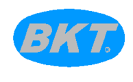Logo Bkt Srl