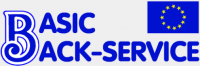 Logo Basic Back Service