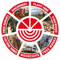 Logo M Large Tree Services Ltd