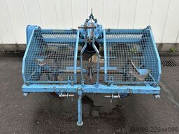 IMANTS 