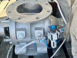 DMN Westinghouse AML