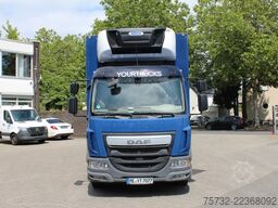 Daf LF 260 E6  Carrier Supra Strom Tür LBW Klima