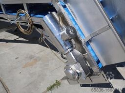 STC in-feed conveyor belt