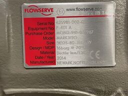 Flowserve DURCO Centrifugal Pump Mark 3 ISO 3K125-80-315RV