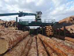 Baljer & Zembrod Portalkran 10 Meter Spur