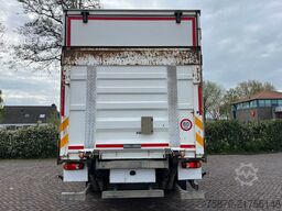 DAF CF 290 FA
