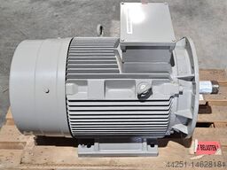 Lammers 16 BG 223-4MA66-Z 225M