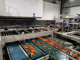 CARROT LINE GRADER SYSTEM