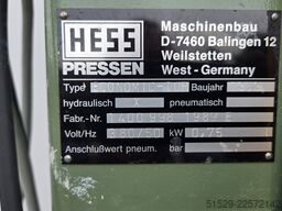 Hess Economic Top