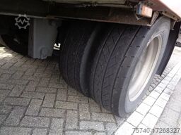 Fliegl TPS 180 + 2 Axle + TRS Cooling + Dhollandia Lift