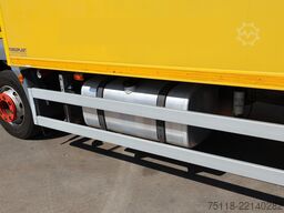 DAF LF 55.280 16t - FRIGORIFERO