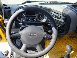 DAF LF 55.280 16t - FRIGORIFERO