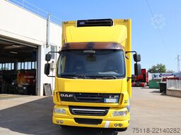 DAF LF 55.280 16t - FRIGORIFERO