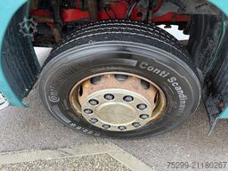 Scania R560 CB 8x4 BDF/HB / Swiss-Vehicle