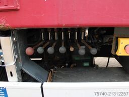 Scania P 270 + ERFECT CONDITION + TO