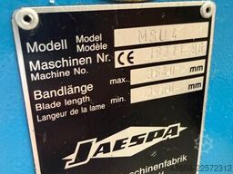 JAESPA MSU 4
