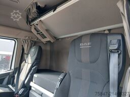 DAF XF 480 FAN SDG 7,45/7,82 Lenkachse A3