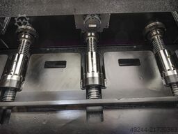 CoastOne Bull15
