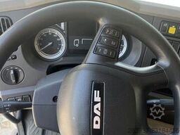 DAF LF 250 FA
