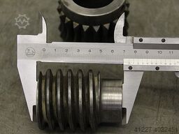 Ehemann für Oszillation