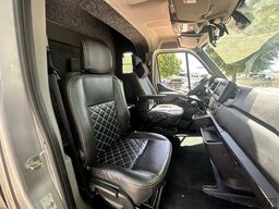 Renault Master 1-2 Pferde Hengsttrennung