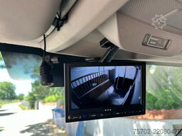 Renault Master 1-2 Pferde Hengsttrennung