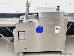 Riehle Riehle Belmar 2000