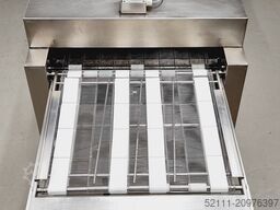 Riehle Riehle Belmar 2000