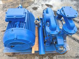 Siemen & Hinsch LPH Y 60520