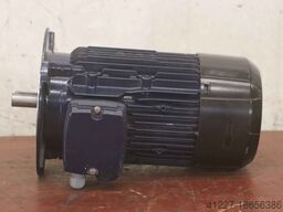 Birkenbeul 8APE80M-2