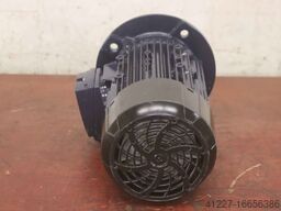 Birkenbeul 8APE80M-2