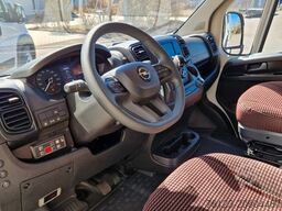 2 x Opel Movano, 3 x Fiat Ducato 18 Sitzer Jumpe