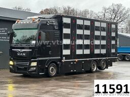 MAN TGX 26.500 4. Stock Menke-Janzen Viehtransporter