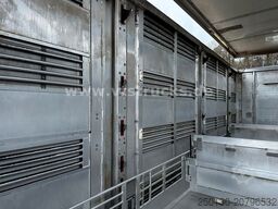 MAN TGX 26.500 4. Stock Menke-Janzen Viehtransporter