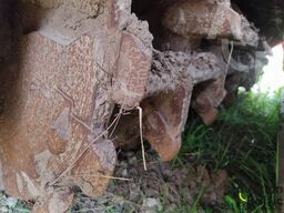 Prinoth RFL 700-2300U