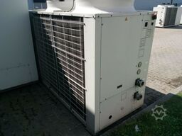 KELVIN KRNA 1200B03612