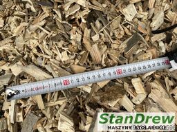 Teknamotor Skorpion 500 EB/2