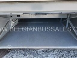 Mercedes Intouro E / 13.0m /