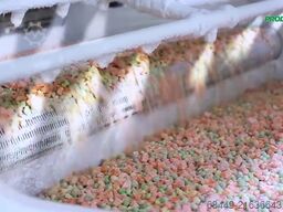 Air Products IQF Freezer Stikstofvriezer – Freshline