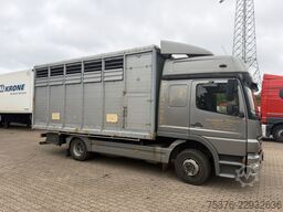 MERCEDES-BENZ Atego 823
