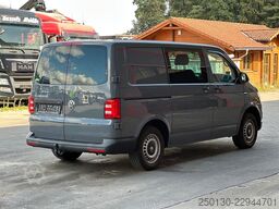 VW T6 Transporter Kasten-Plus Trendline