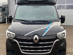 RENAULT Master STX Haras 3 sitzer