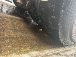 SCANIA R 540 * SCHWARZMÜLLER  MIT SCHUB ACH SAF TRUCK *