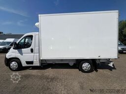 FIAT Ducato 2,3 HDI Thermoking V300 Tiefkühlung-30C