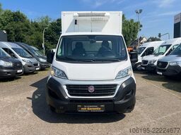 FIAT Ducato 2,3 HDI Thermoking V300 Tiefkühlung-30C