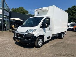 FIAT Ducato 2,3 HDI Thermoking V300 Tiefkühlung-30C