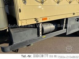 MERCEDES-BENZ 811 gr Haus 6 Sitze rre  orig.31tkm