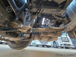 DAF XF 480 * KIPPHYDR. * ACC * RETARDER * STANDHEIZ