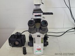 Motic AE31