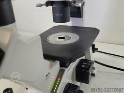 Motic AE31